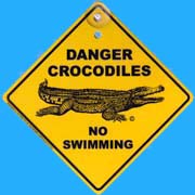 Suction Roadsign Danger Crocodile